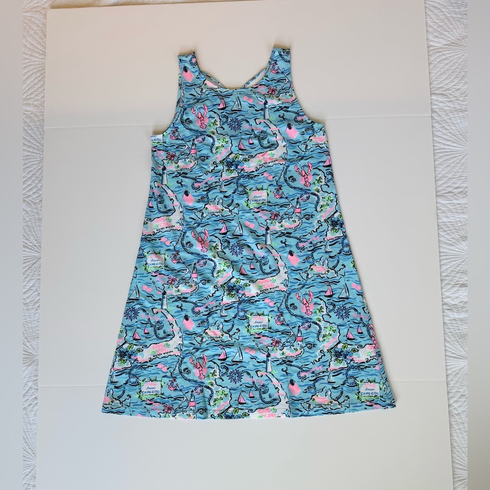 Lilly Pulitzer Kristen Swing Dress, Lilly Loves Cape Cod Bali Blue | Size XS - Picture 5 of 8